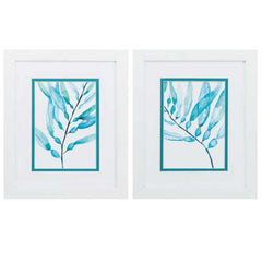 9" X 11" Matte White Frame Watercolor Kelp (Set of 2)