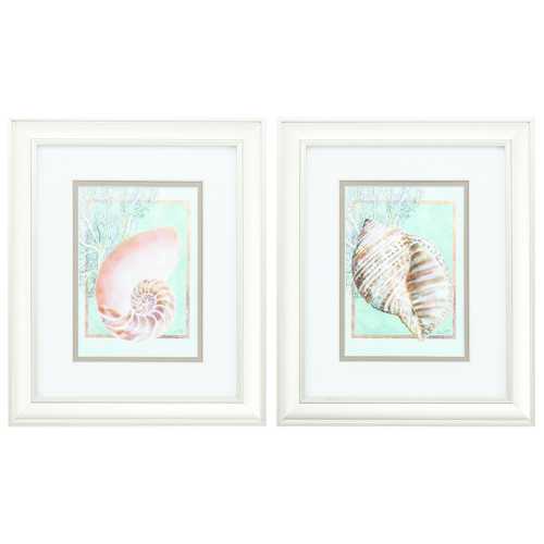10" X 12" Champagne Gold Color Frame  Nautilus Turban (Set of 2)