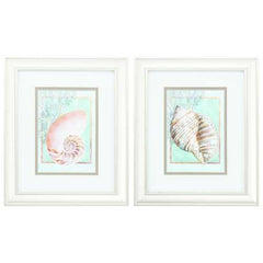 10" X 12" Champagne Gold Color Frame  Nautilus Turban (Set of 2)