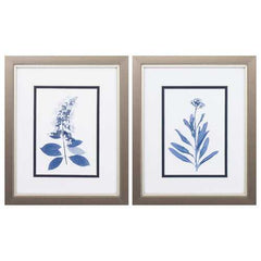 9" X 11" Metallic Bronze Frame Indigo Press Florals (Set of 2)