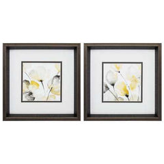12" X 12" Brushed Silver Frame Natural Abstract (Set of 2)