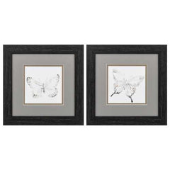 12" X 12" Distressed Black Frame Butterfly Impression (Set of 2)