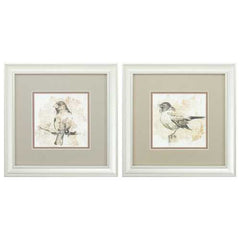 12" X 12" Champagne Gold Color Frame  Bird Sketch (Set of 2)
