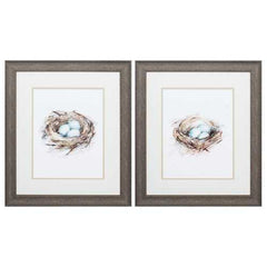 19" X 22" Distressed Wood Toned Frame Bird Life (Set of 2)