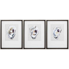 18" X 24" Brushed Silver Frame Oyster Shell Study (Set of 3)
