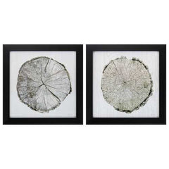 14" X 14" Dark Wood Toned Frame Woodland Years (Set of 2)