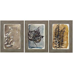 11" X 15" Woodtoned Frame Sepia Leaves I (Set of 3)