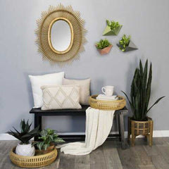 S 3 Tropical Tricolor Wall Planters