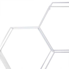 Hexagonal Metal Shelf with D-Ring