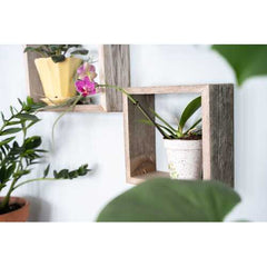 Set of 3 Square Rustic Natural Weathered Grey Wood Open Box Shelve