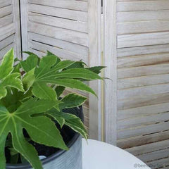 6 Panels Classic Venetian Wooden Slat Room Screen - Color: White